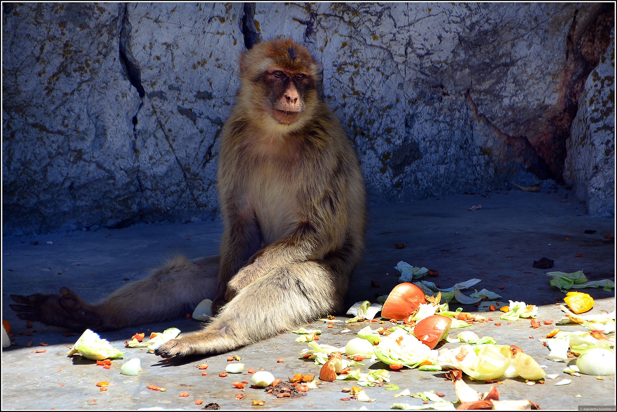 Gibraltar